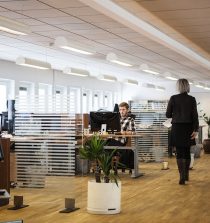 8 Consejos esenciales para la creación de tu empresa